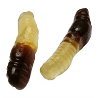 AROMA COLAMASKAR BIB
