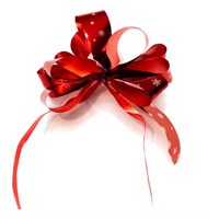 ROSETT SNOWFLAKE RÖD 10-PACK