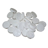 WILHELMINA MINT 3 KG