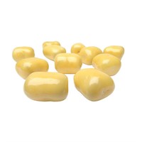 SALT CITRONLAKRITS